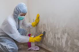 Best Real Estate Mold Inspection  in Glenwood Springs, CO